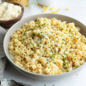a large bowl of creamy parmesan garlic ditalini pasta
