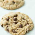 Fall is here and pumpkin is on my mind, but today is about the classic, America's Test Kitchen Chocolate Chip Cookies.