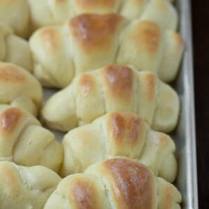 This is the world's best homemade rolls recipe, also known as the best dang rolls we have ever shoved into our faces. They are awesome!