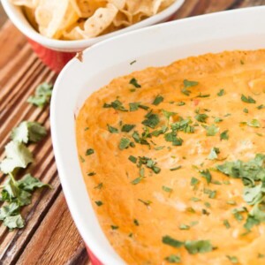 Cheesy Chicken Tortilla Dip is our new guilty pleasure. Can't stop eating it!! ohsweetbasil.com