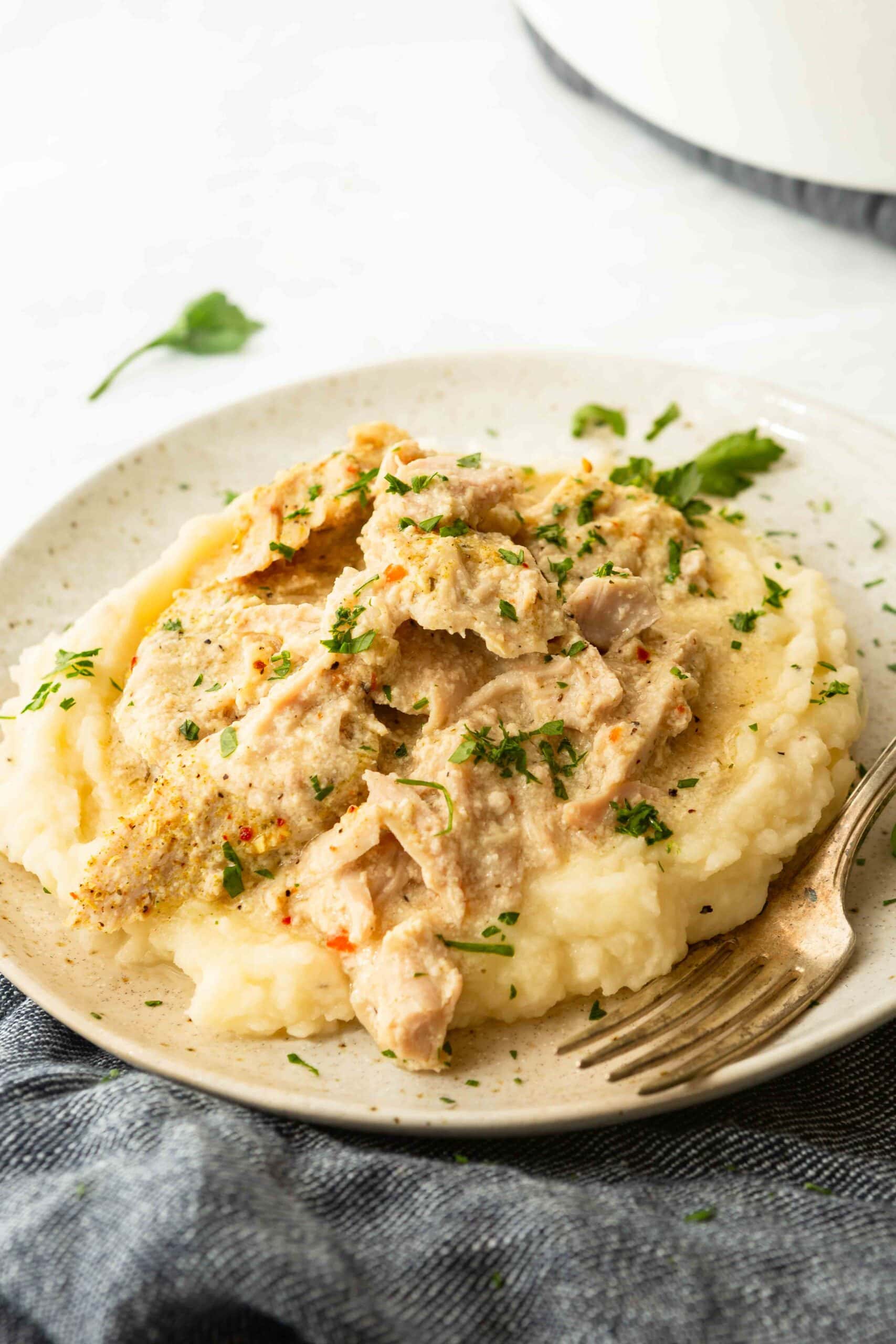 3 Ingredient Slow Cooker Pork Chops (Cheap Dinner Recipe)