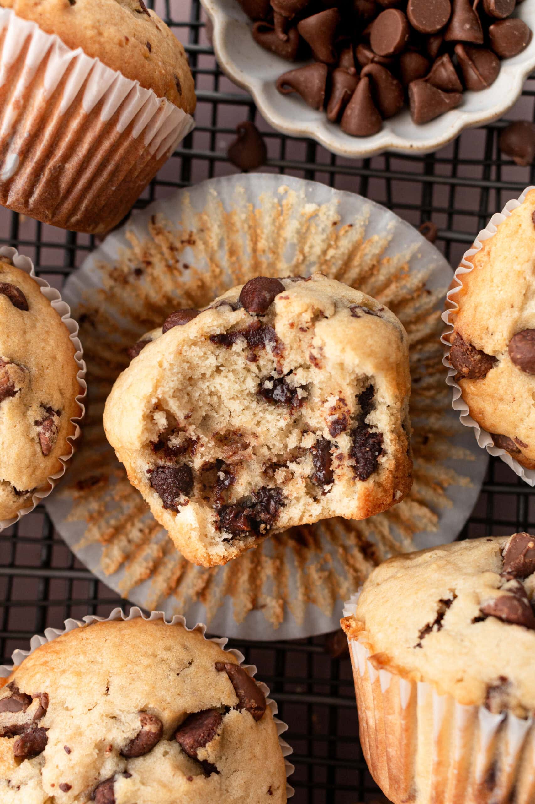 Chocolate Chip Muffin Recipe [+Video]