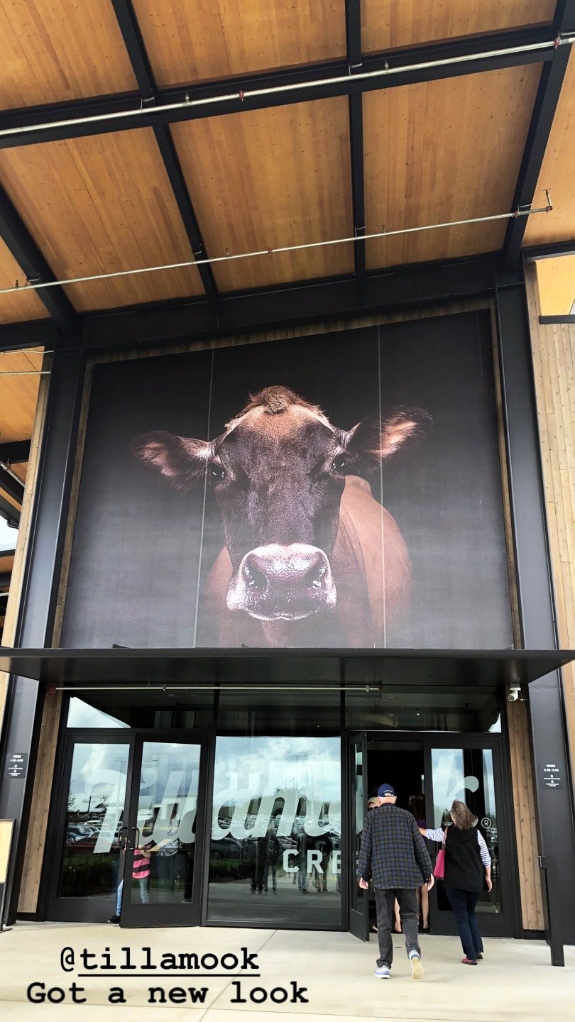 sun dried tomato bacon pesto grilled cheese