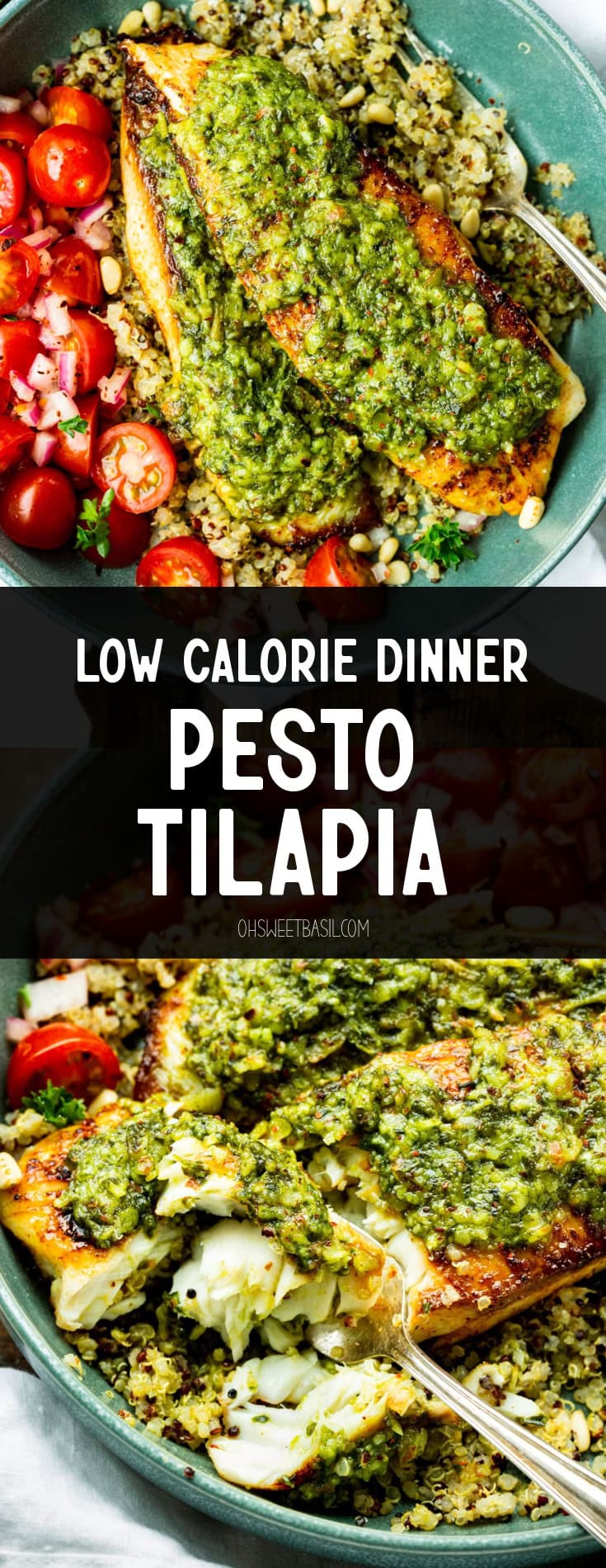 a photo of two tilapia filets topped with pesto sauce on a bed of multicolored quinoa