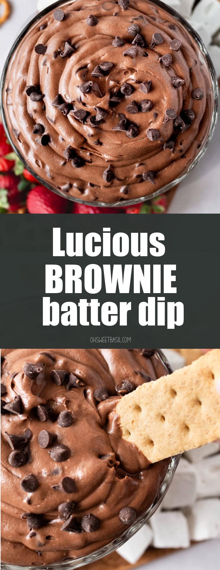 a photo of someone dipping a graham cracker into a large bowl of brownie batter dip topped with mini chocolate chips