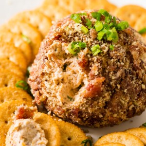Want the best cheese ball recipe for a party? This bbq bacon cheese ball is packed full of cheese, bbq sauce, bacon and covered in a pecan coating! ohsweetbasil.com