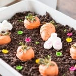 This turned out awesome and so easy! No bake chocolate oreo bunny garden ohsweetbasil.com