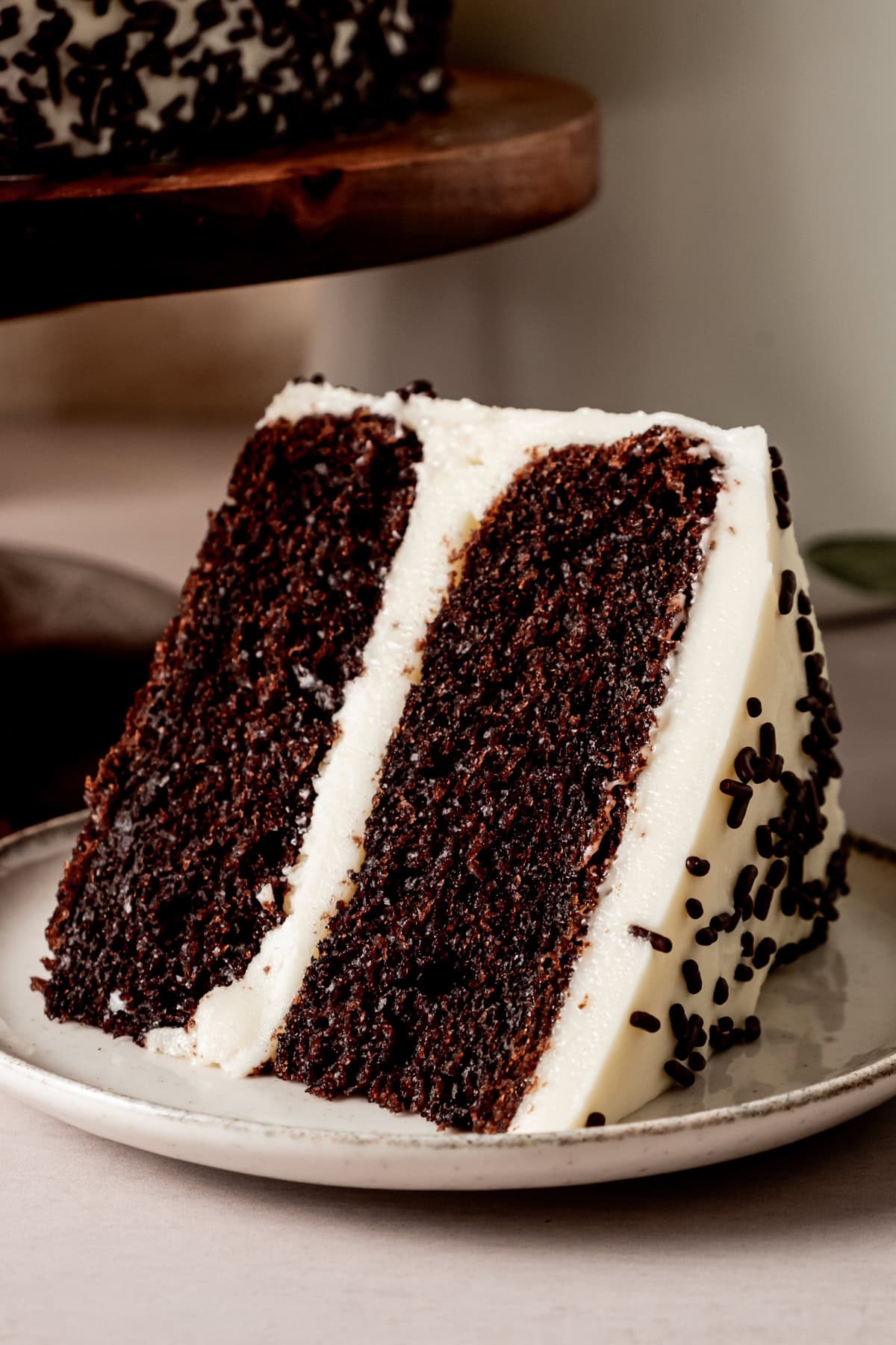 a slice of two layer chocolate cake with vanilla buttercream frosting and chocolate sprinkles