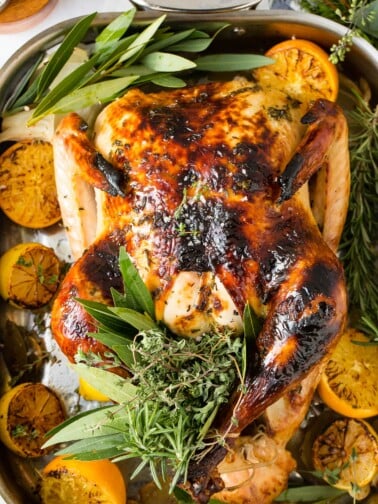 A photo of a whole roasted turkey on a platter surrounded by roasted lemon halves and bunches of fresh herbs.