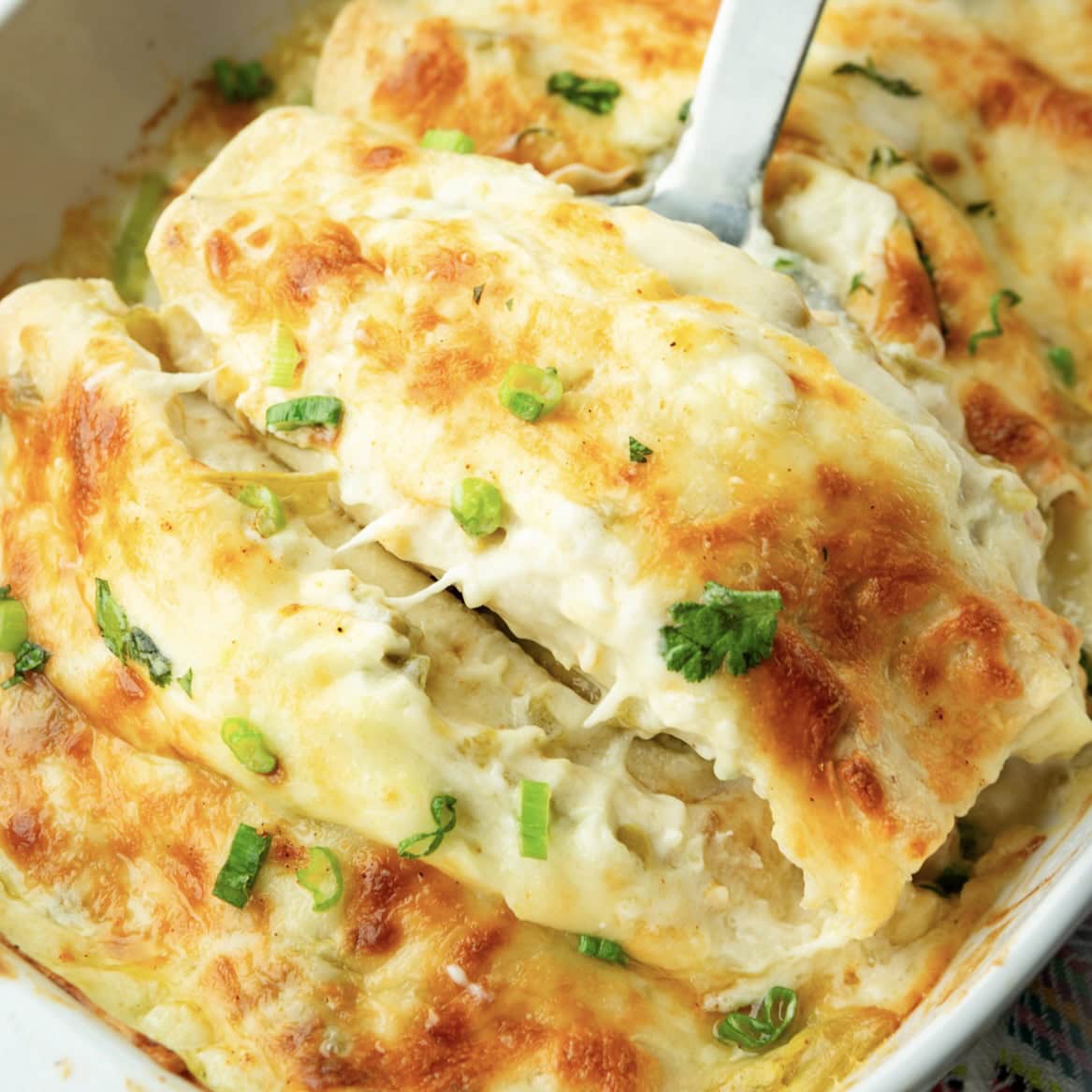 Easy Cheesy Chicken Enchiladas