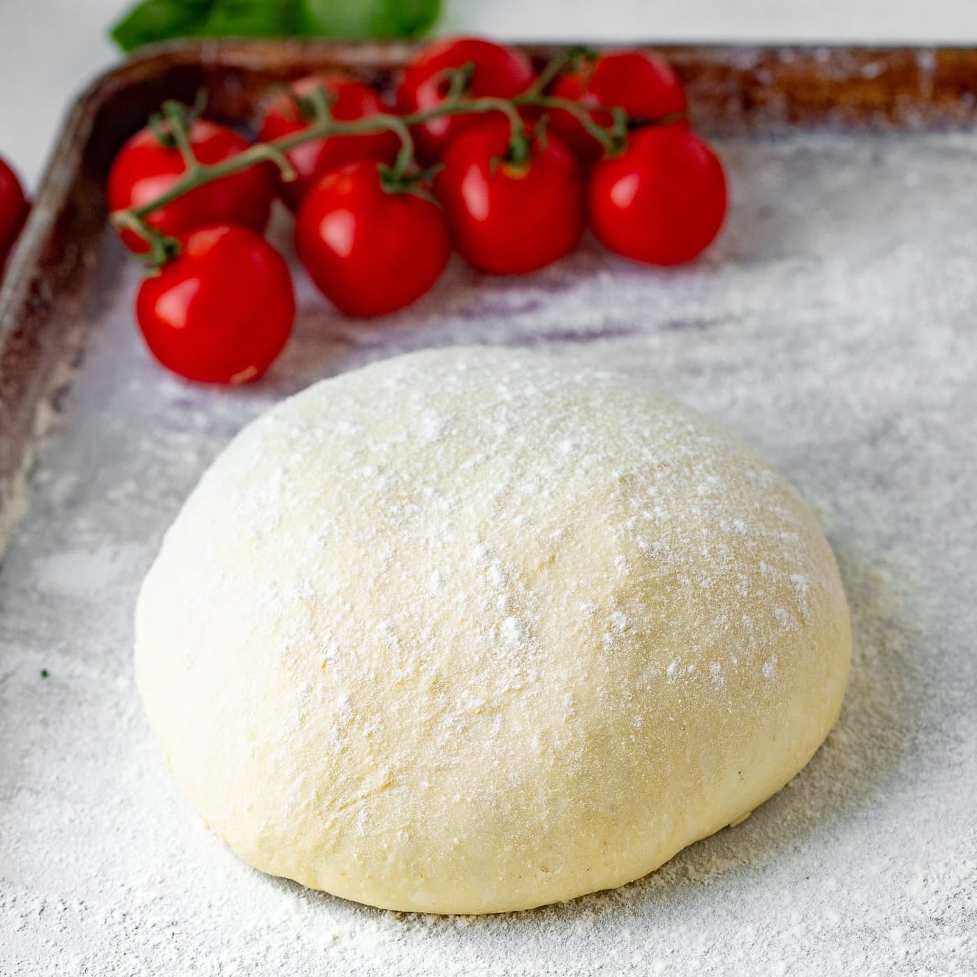 Best Pizzeria Pizza Dough Recipe at Home