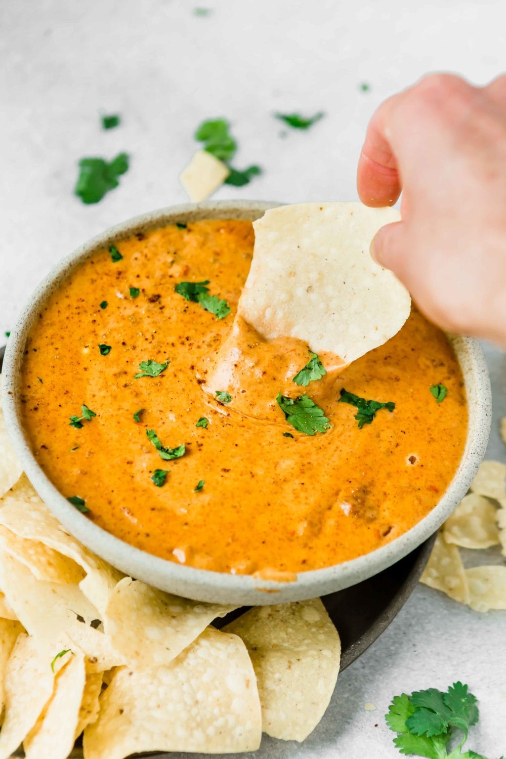 Chili Con Queso Dip Oh Sweet Basil