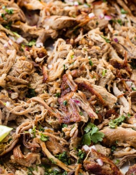 pork carnitas with fresh cilantro chopped up on top
