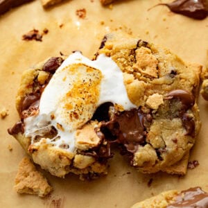 a gooey chocolatey s'more cookie with a golden marshmallow stuffed in the middle